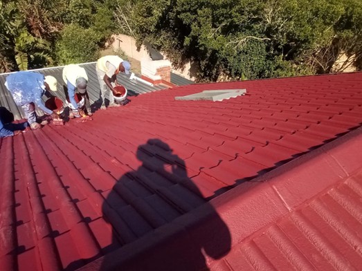 Roof Paint Roof Painting